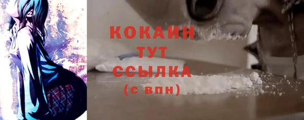 бошки Богородицк