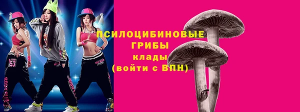 ECSTASY Бородино