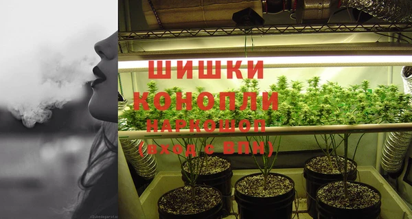 бошки Богородицк