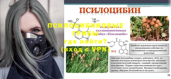 дживик Богородск