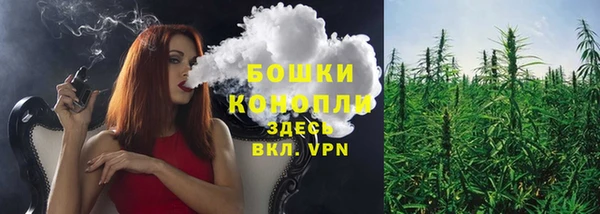 дживик Богородск