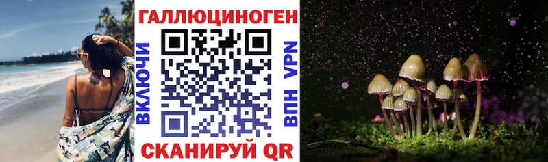 Псилоцибиновые грибы Psilocybe  MEGA как войти  Краснознаменск  где купить наркоту 