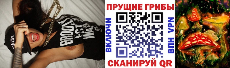 Галлюциногенные грибы MAGIC MUSHROOMS Краснознаменск