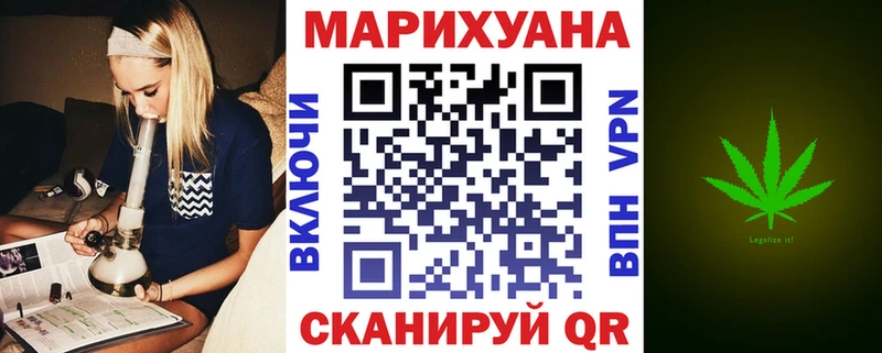 Конопля сатива Краснознаменск